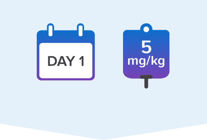 Day 1 calendar icon and 5 mg infusion bag icon